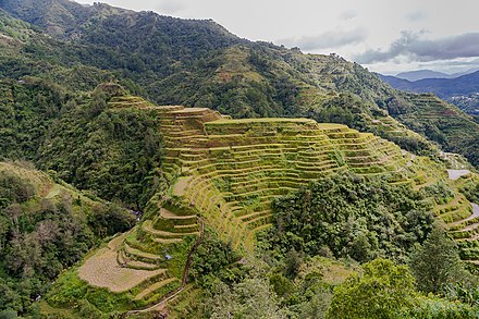 The Ifugao/Igorot people utilized wet-rice terrace farming in the steep mountainous regions of northern Philippines about 400 years ago to avoid Spanish conquest in the lowlands.[190][191][192]