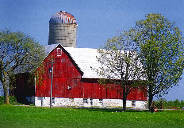 Rural scene, Peterborough County, near Lakefield, Ontario