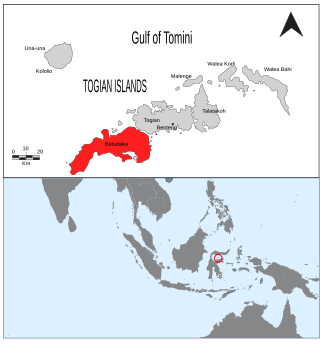 <span class="mw-page-title-main">Batudaka Island</span> Island in Indonesia