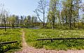 Bekhofplas. Een waardevol natuurterrein van Staatsbosbeheer in de provincie Friesland.