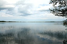 Ežero reginys