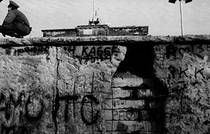 Muro De Berlín: Historia, La caída del Muro de Berlín, Artistas
