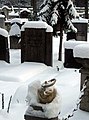 Detail auf dem Grab von Abdel Rahim Sibai auf dem Türkischen Friedhof in Berlin