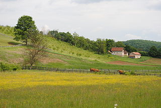 <span class="mw-page-title-main">Beršići</span> Village in Moravica District, Serbia