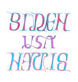 Biden-USA-Harris ambigram.png