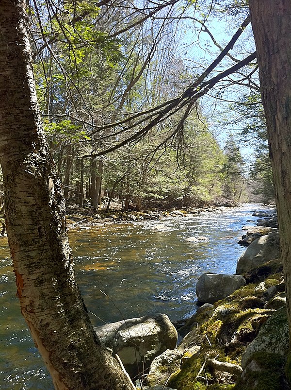 Bigelow Brook from the Natchaug Trail in Eastford Connecticut, the head waters of the Natchaug River.