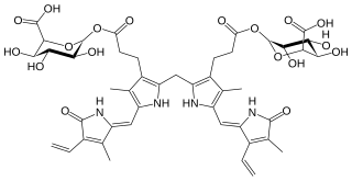 <span class="mw-page-title-main">Bilirubin diglucuronide</span> Chemical compound