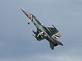 F/A-18F Super Hornet at RIAT 2004. Shows Super Hornet climbing steeply after takeoff.