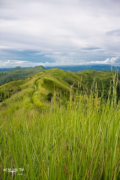 File:Bondari Hill.jpg