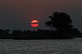 Botswana, Sunset over the Chobe river - panoramio.jpg