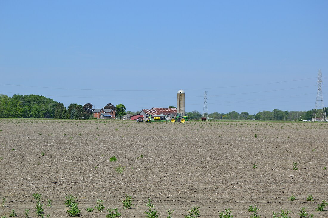 Freedom Township, Wood County, Ohio