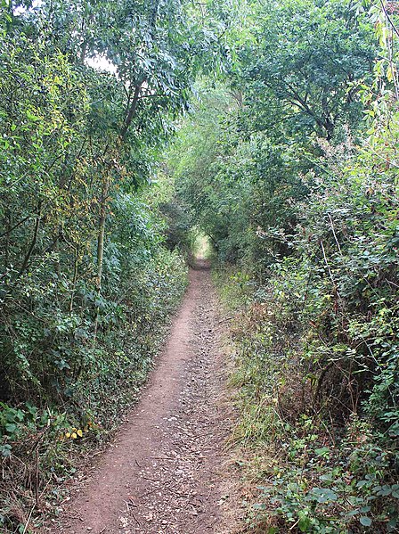 File:Bridleway to Bearley - geograph.org.uk - 2538646.jpg