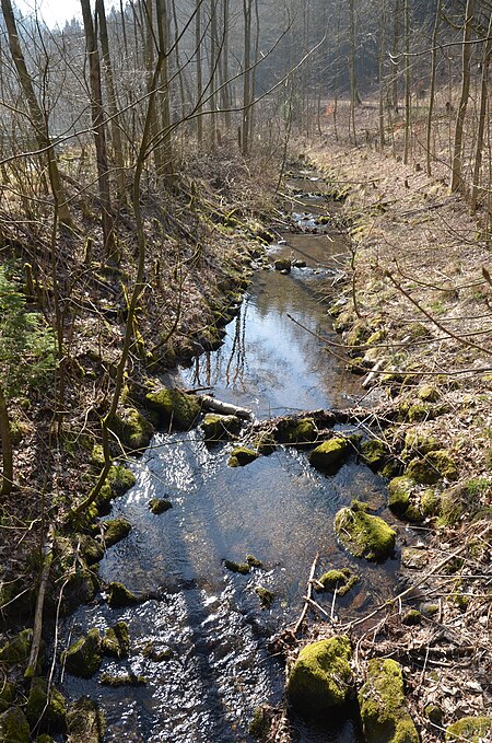 Brilon Wald, die Schmala (7)