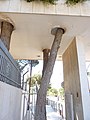 Building Around Trees-6 (4934067161).jpg