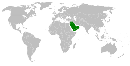 تولى ابو بكر الصديق الخلافه عام