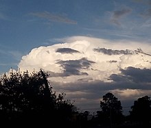 Cumulonimbus pileus Cap cloud in cumulonimbus.jpg