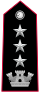 Carabinieri-OF-5.svg