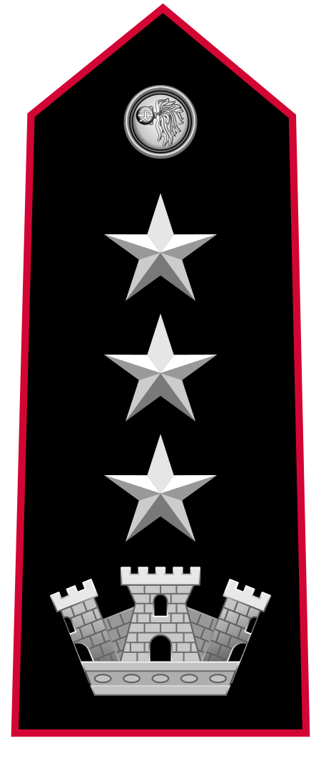 ไฟล์:Carabinieri-OF-5.svg