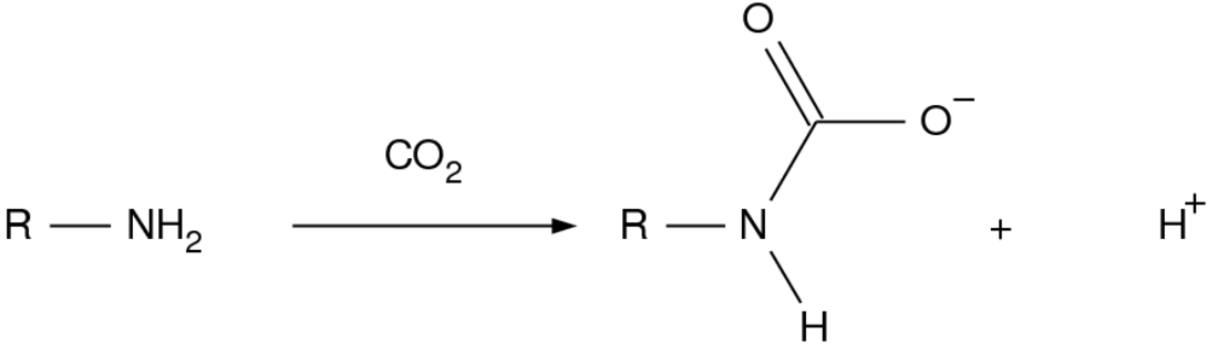 File:Carbamate.png