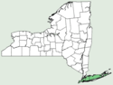 Carex silicea NY-dist-map.png