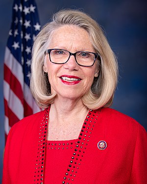 Politician Carol Miller