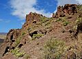 Caves Gran Canaria.JPG