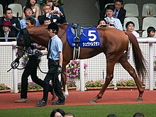 Cheval Grand (JPN) IMG 0767-1 20170625.jpg