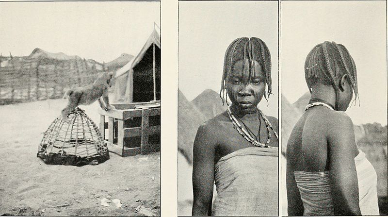 File:Chiefs and cities of Central Africa, across Lake Chad by way of British, French, and German territories (1912) (20579195966).jpg
