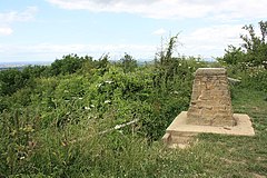 Churchdown Hill Trig Titik (155 m) - geograph.org.inggris - 1946325.jpg