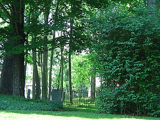 <span class="mw-page-title-main">Confederate Cemetery at Lewisburg</span> Historic cemetery in Greenbrier County, West Virginia, US