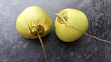 Deux noix de coco sur vignes