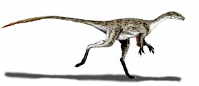 Resmin açıklaması Coelurus BW.jpg.