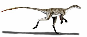 Coelurus fragilis, living reconstruction with hypothetical fletching