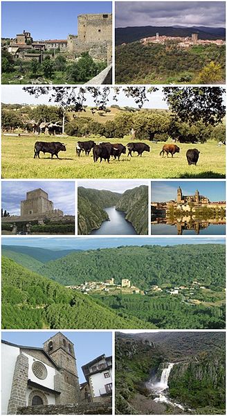 From left to right and from top to bottom: Puente del Congosto Castle, Miranda del Castañar, Campo Charro meadow, keep of the castle of Enrique II of 