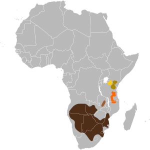 Connochaetes taurinus map.svg