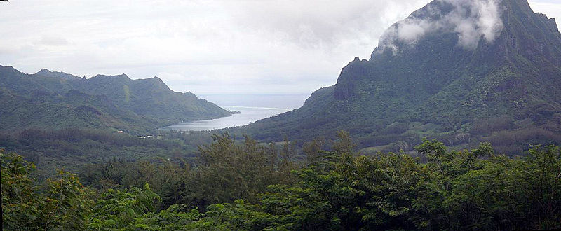 File:Cook-bay-from-the-hills.jpg