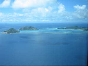 The diversity and containment of coral reef systems make them good sites for testing niche and neutral theories. Coral Reef aerial.png