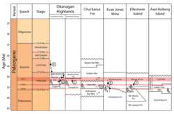 Correlation of the Coldwater Beds with other Early Eocene formations in northern North America Correlation Margaret Formation.png