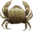 Crab-icon.png