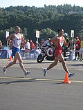 Miniatura per Wang Zhen (atleta)