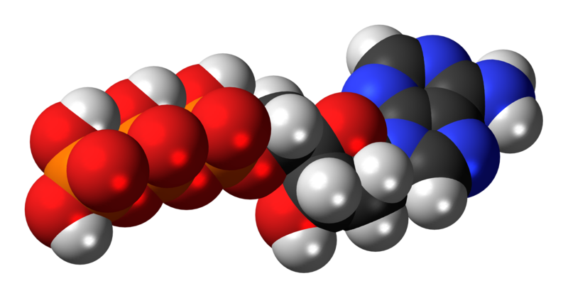 File:Deoxyadenosine-triphosphate-3D-spacefill.png