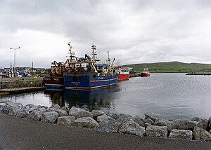 Dingle Hafen