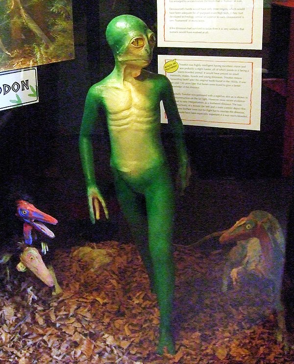 A model of the hypothetical Dinosauroid, Dinosaur Museum, Dorchester