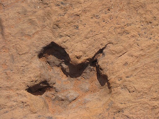 Dinosaurstracks Otjihaenamaparero Namibia