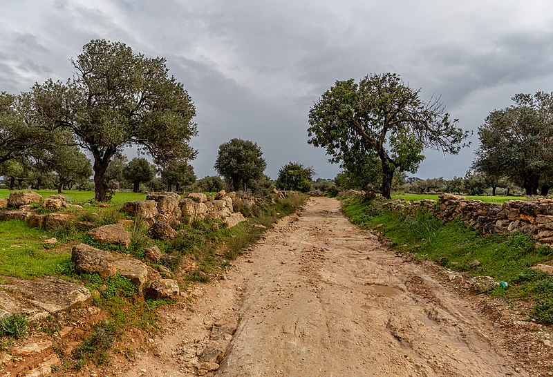 File:Dirt road in Agios Andronikos, Northern Cyprus.jpg