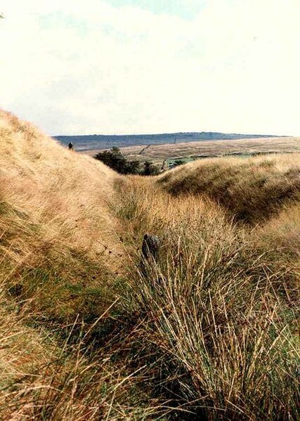 File:Ditch of Castleshaw Roman fort.jpg