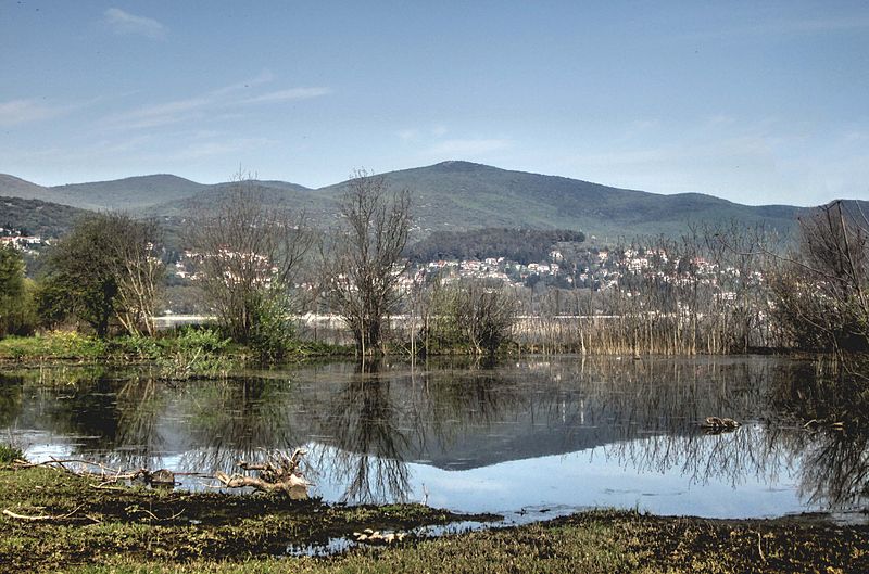 File:Dojran Lake 221.jpg