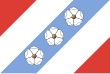 Vlag