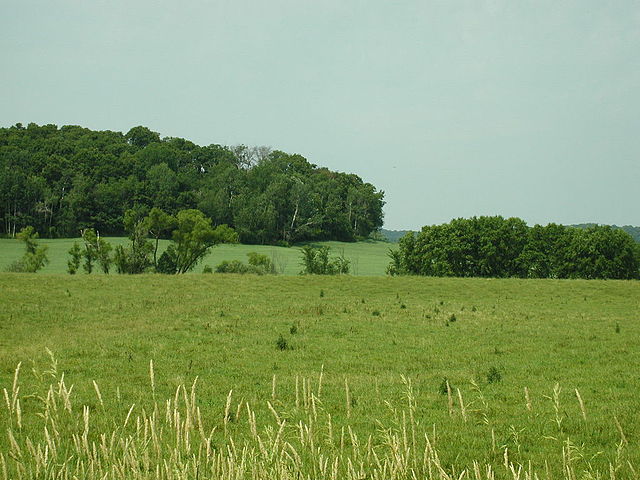 Fields in Eau Claire County