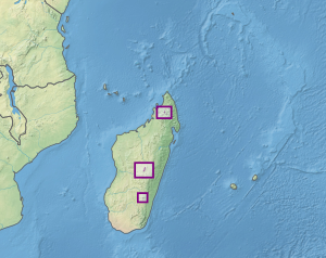 Mapa mostrando a localização de matagais de ericóides em maciços altos em Madagascar